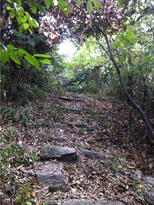 葉家山古道