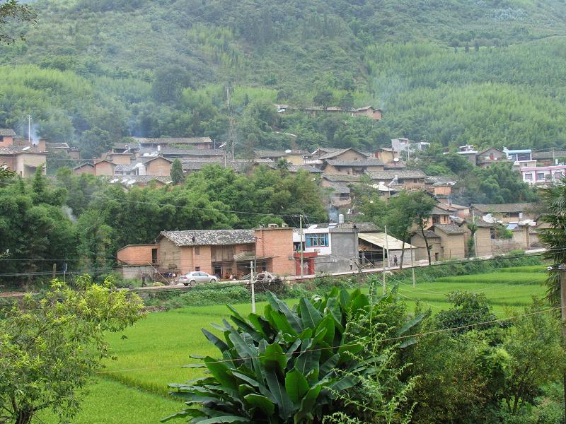 東山村(雲南省大理市鳳儀鎮東山村)