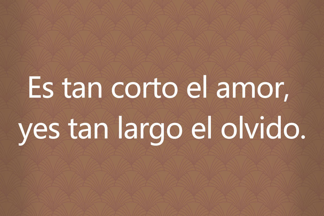 Es tan corto el amor, y es tan largo el olvido.