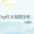 hp紅頭髮的少年