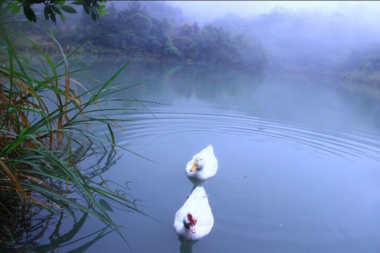 觀音山森林公園