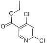 4,6-二氯煙酸乙酯