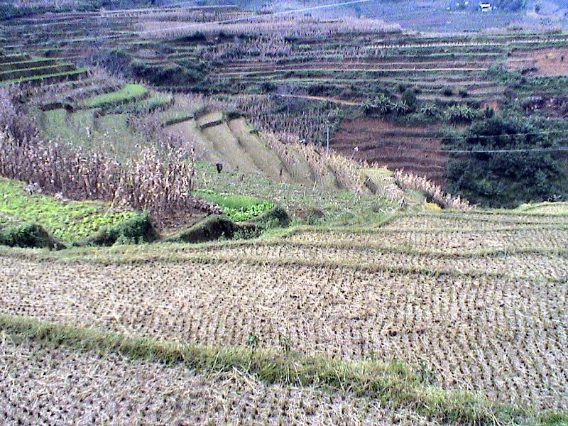 下寨溝村