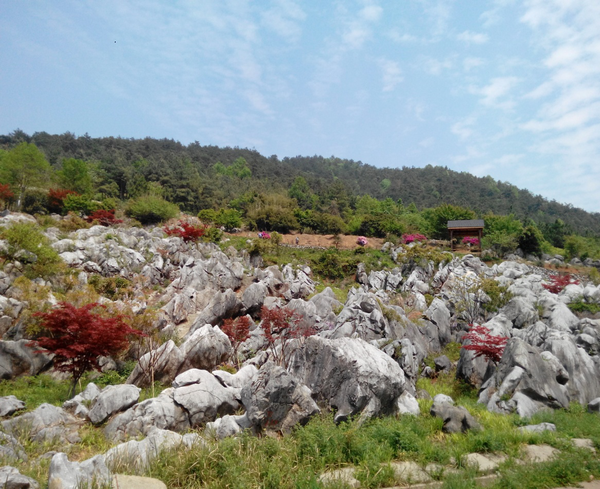 浙江桐廬瑤琳國家森林公園