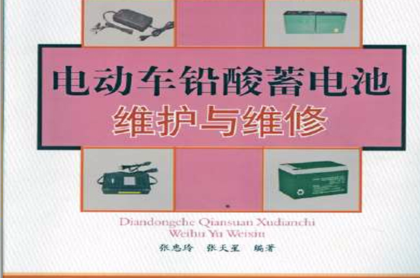 電動車鉛酸蓄電池維護與維修