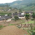 多依樹村(雲南省祿勸縣團街鎮下轄村)