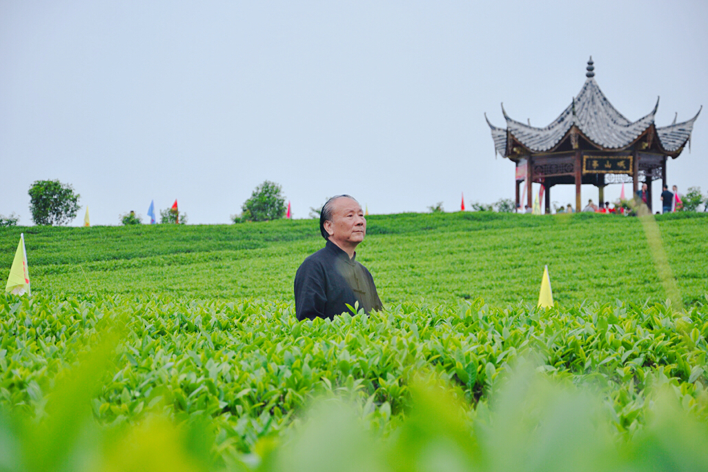 劉成龍(福建烏龍茶製作技藝非遺文化傳承人)