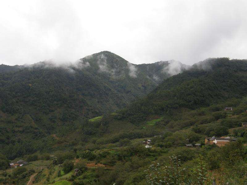 張家灣自然村(龍頭山鎮銀屏村民委員會下轄自然村)