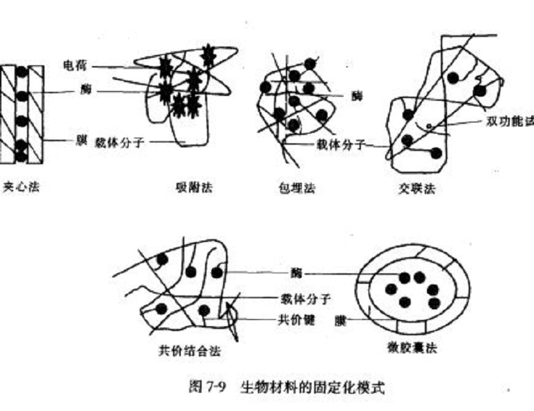 生物敏感材料