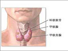 老年人甲狀腺功能減退症