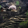 大汖村(盂縣大汖村)