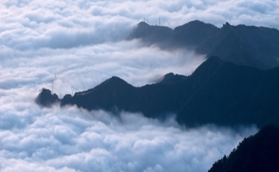 保護區風景