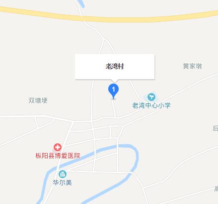 老灣村(安徽省銅陵市樅陽縣老洲鎮下轄村)