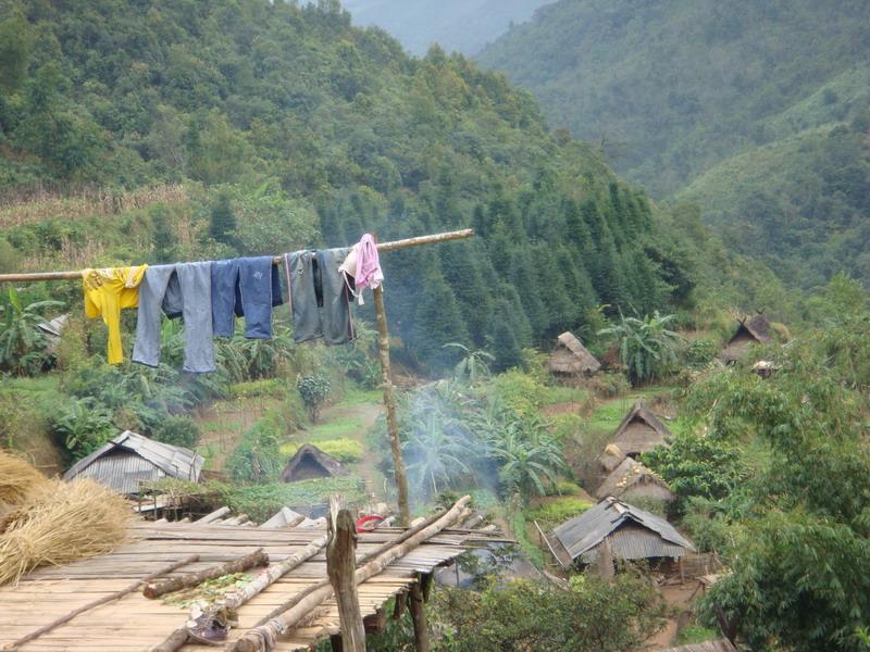 東定村(雲南省臨滄滄源佤族自治縣單甲鄉下轄村)