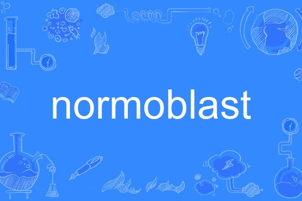 normoblast