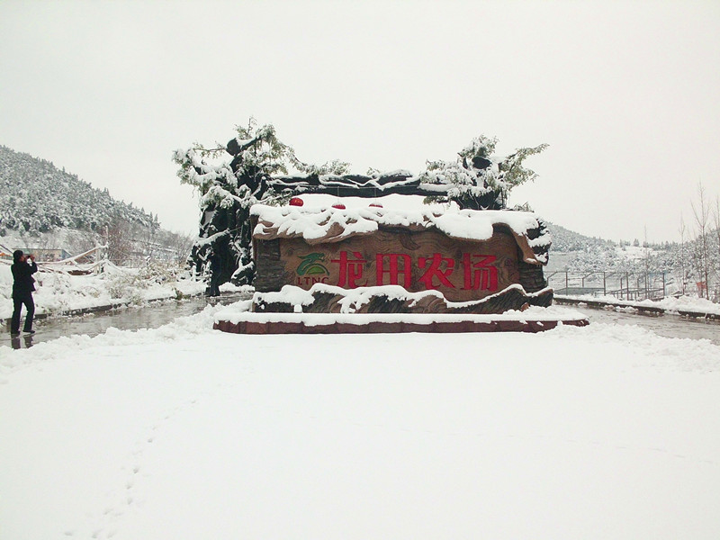 龍田雪景