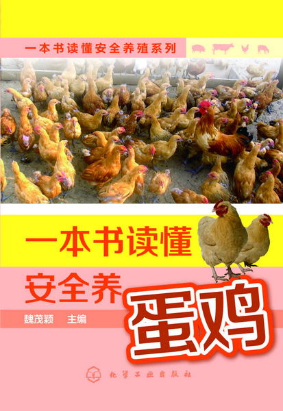 一本書讀懂安全養蛋雞