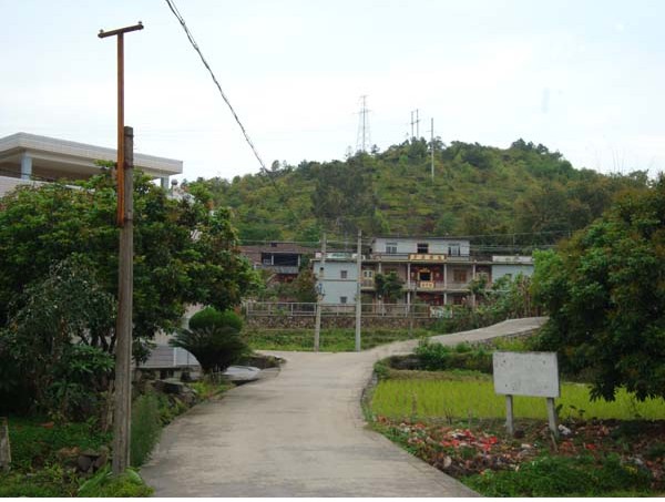 坑內村(福建省泉州市南安市碼頭鎮下轄村)