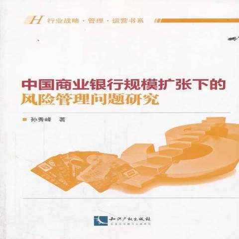 中國商業銀行規模擴張下的風險管理問題研究