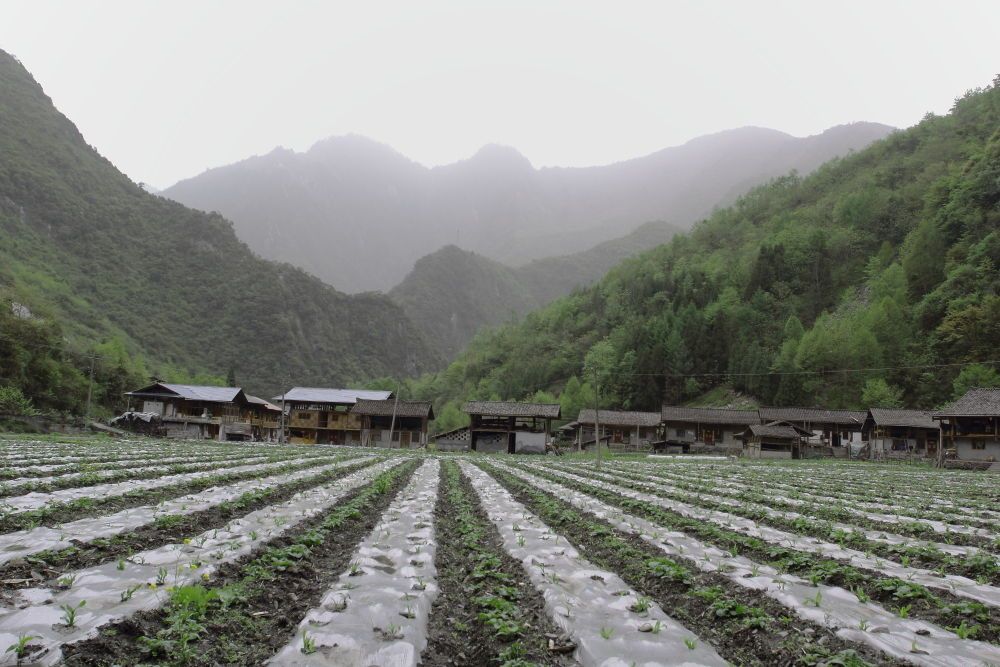 小寨子村(元江縣澧江鎮大水平村民委員會下轄村)