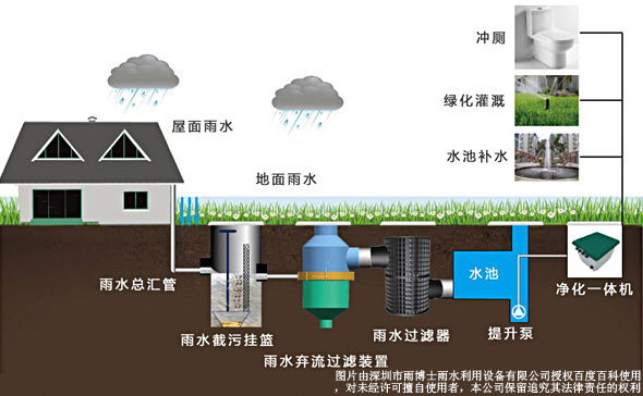 雨水入滲