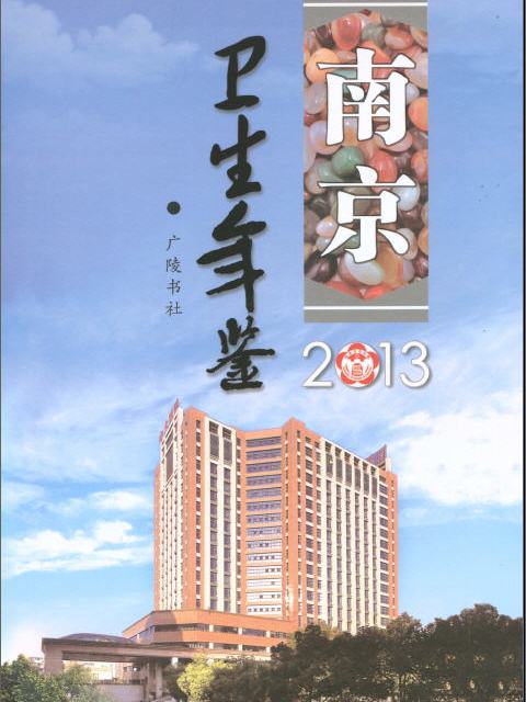 南京衛生計生年鑑2013