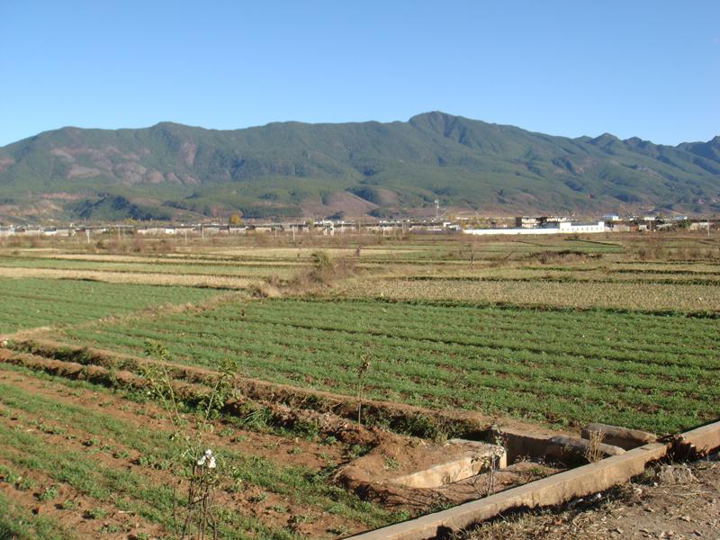 文運東村