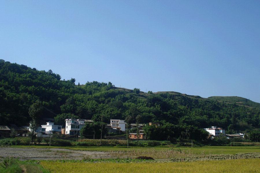 大園子村