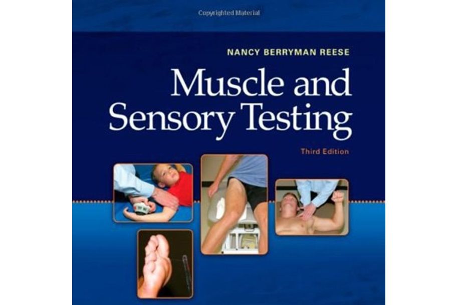 Muscle and Sensory Testing