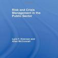 Risk and Crisis Management in the Public Sector