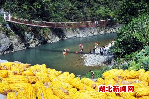 渡河村(湖北省黃岡市黃梅縣五祖鎮渡河村)