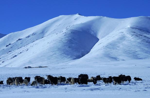 格拉丹東冰雪山