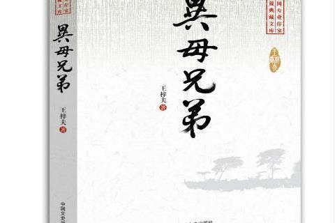 異母兄弟(2015年中國文史出版社出版的圖書)