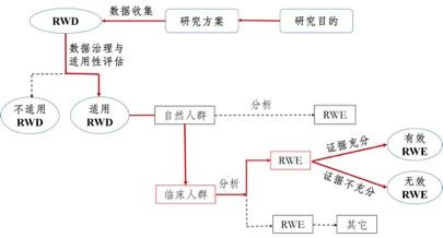 支持藥物監管決策的真實世界研究路徑（實線所示）