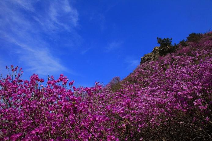 膠南大珠山