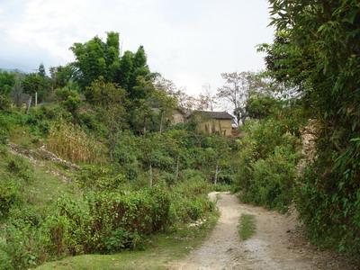 比西村基礎設施－進村道路