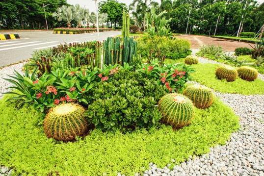 熱帶花園·海島風情