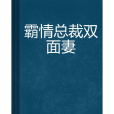 霸情總裁雙面妻