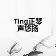 Ting正琴聲悠揚