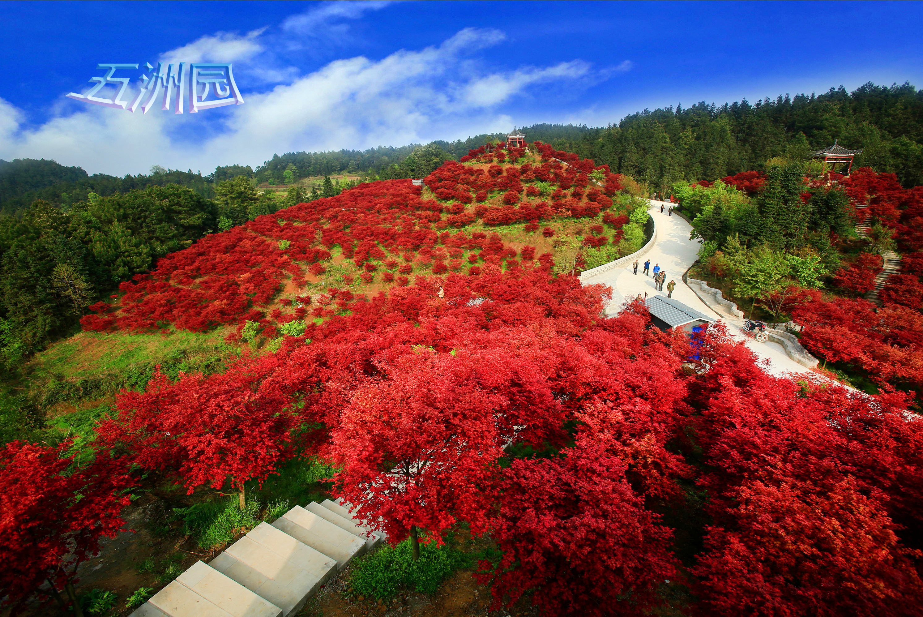 五洲園·紅楓雲頂花海四季