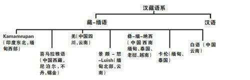 分子人類學