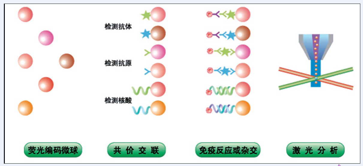 流式螢光技術