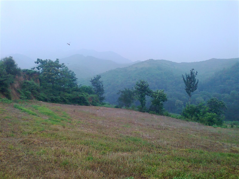 池蘆村