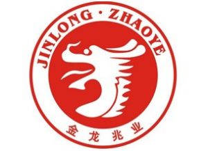 金龍兆業標誌LOGO