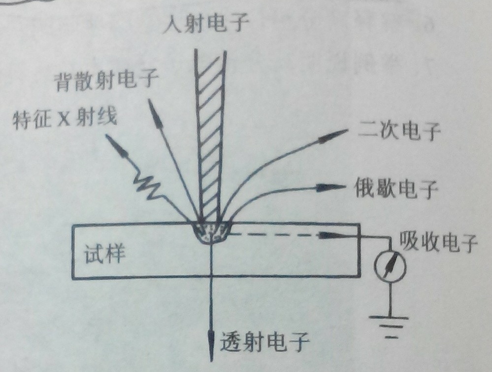 背散射電子