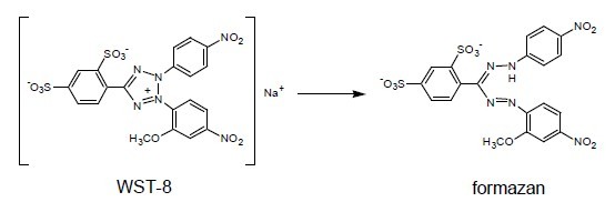 wst-8