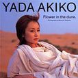 Yada Akiko Flower in the dune 矢田亜希子寫真集