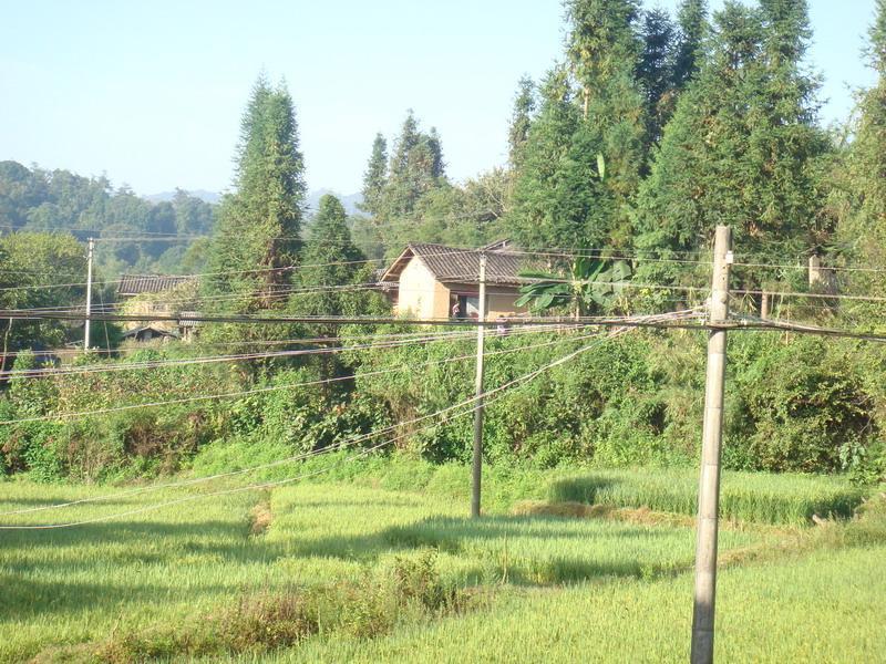 磨石河自然村(雲南省德宏傣族景頗族自治州盈江縣銅壁關鄉三合村行政村轄自然村)