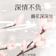 深情不負(藕花深深處所著小說)