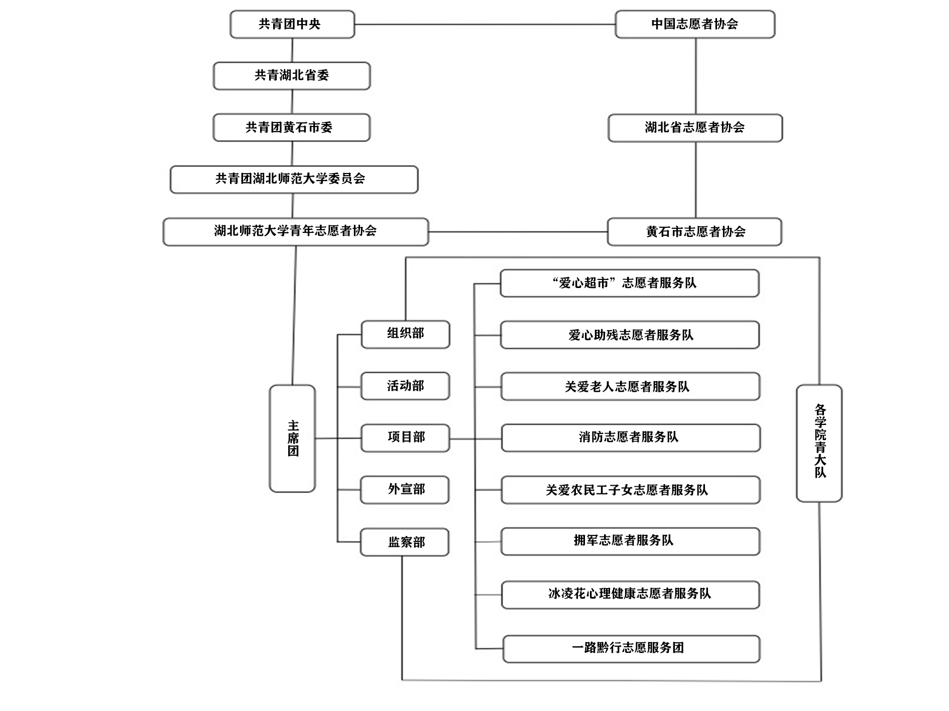 組織結構圖